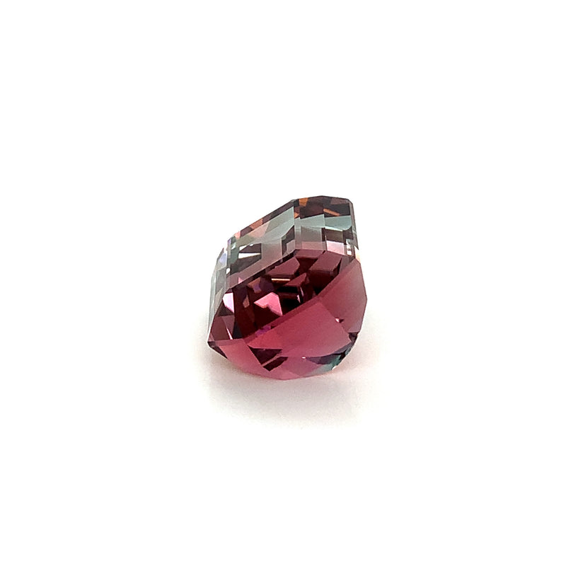 BiColor Tourmaline