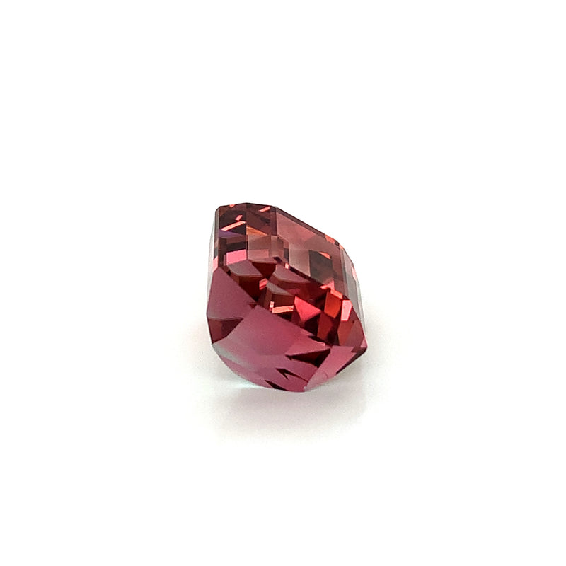 BiColor Tourmaline