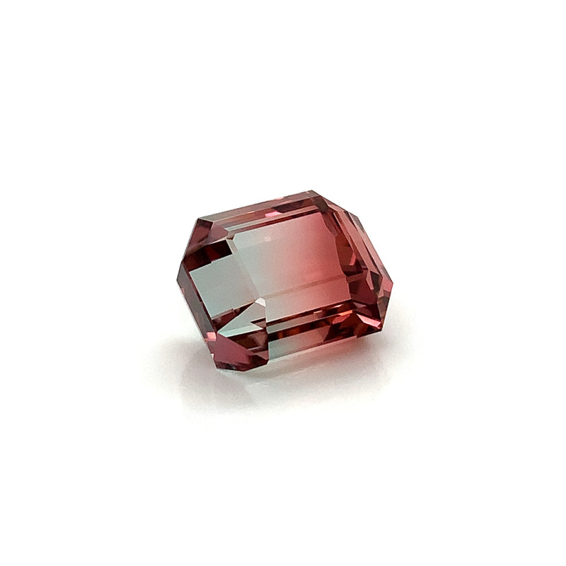 BiColor Tourmaline