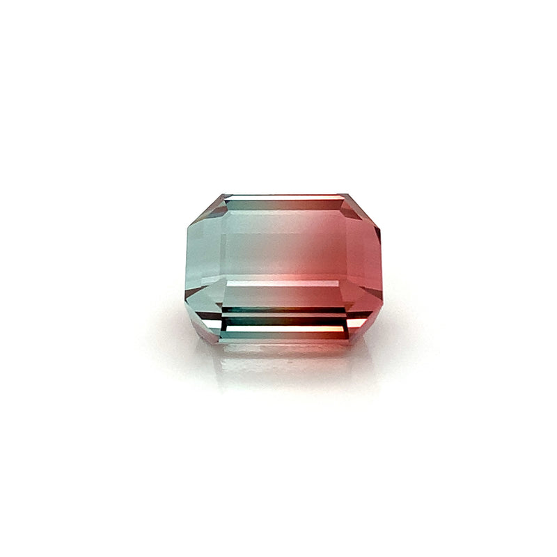 BiColor Tourmaline